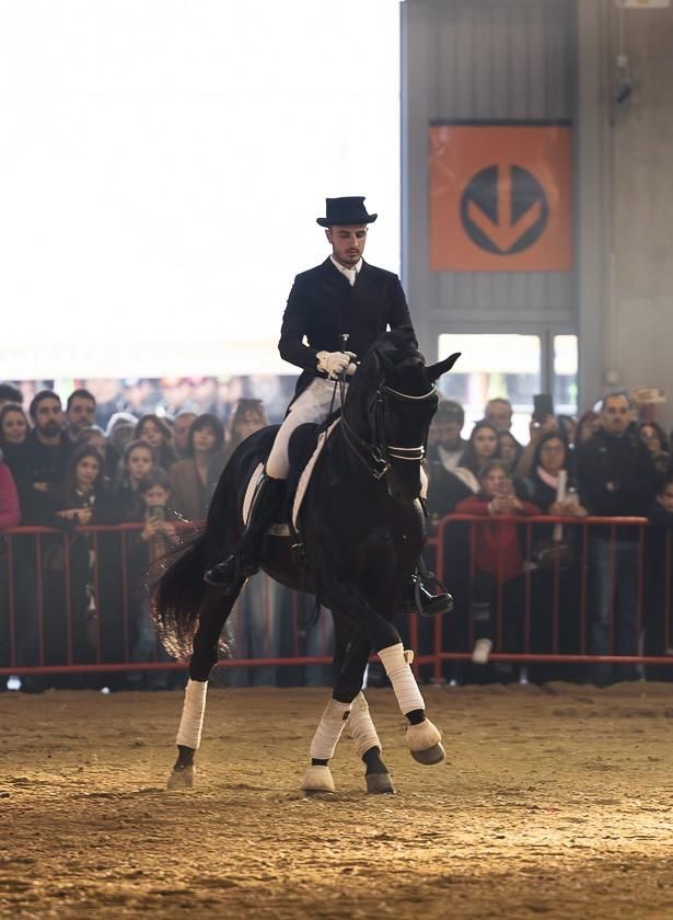Nicolò Da Col vicepresidente e socio fondatore associazione italiana master cavallo iberico