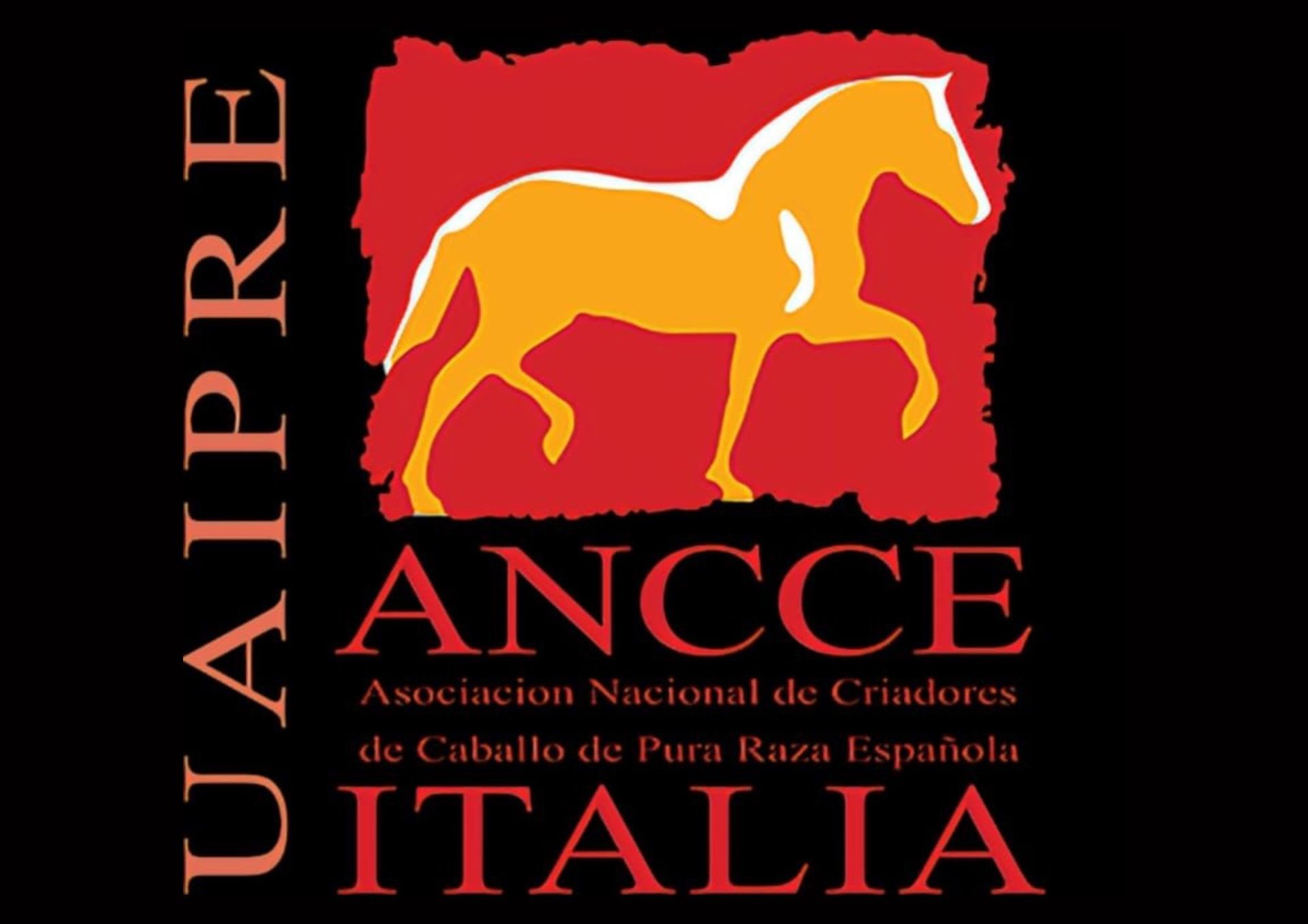 ANCCE Italia